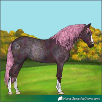 Horse Color:Watercolor Midnight Liver Chestnut Ice 