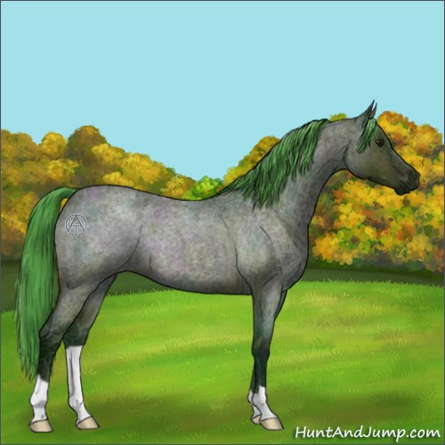 Horse Color:Watercolor Midnight Bay Ice Roan 