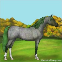 Horse Color:Watercolor Midnight Bay Ice Roan 
