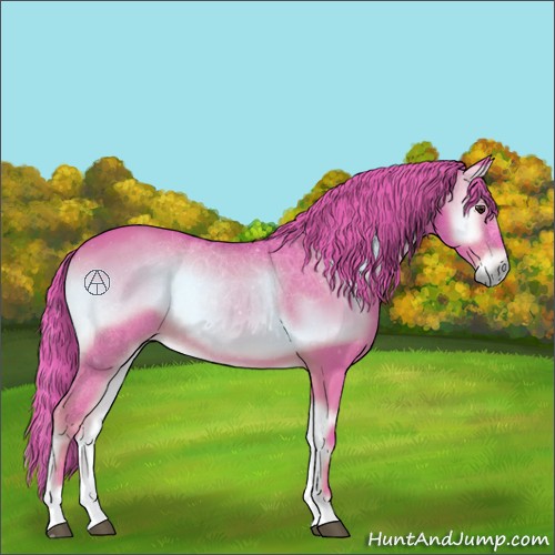 Horse Color:Watercolor Red Onyx 