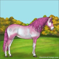 Horse Color:Watercolor Red Onyx 