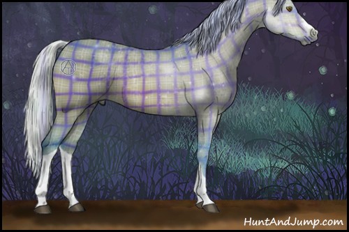 Horse Color:Watercolor Plaid Silver Bay