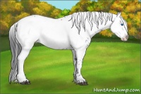 Horse Color:Black Frame 