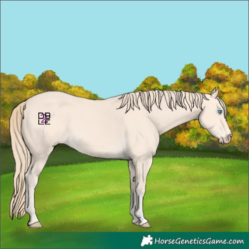 Horse Color:Perlino