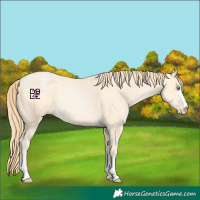 Horse Color:Buckskin Pearl 