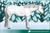 Horse Color:Liver Chestnut Frame 