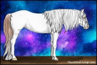 Horse Color:Amber Champagne Splash Appaloosa