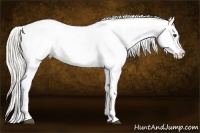 Horse Color:Silver Buckskin Roan Blanket 