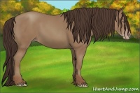 Horse Color:Classic Champagne 