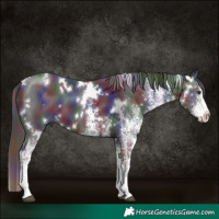 Horse Color:Nacre White Spotted Liver Chestnut 