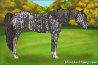 Horse Color:Platinum Buckskin Pearl Rabicano  and Platinum Liver Chestnut 