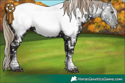 Horse Color:Liver Chestnut Tobiano Near Fewspot 