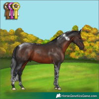Horse Color:Brown Tobiano