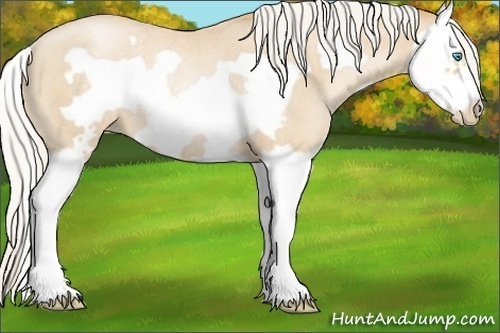 Horse Color:Silver Smoky Blue Roan Pearl Splash Frame Rabicano