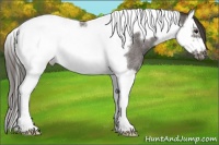 Horse Color:Smoky Blue Roan Splash Tobiano Frame Rabicano 
