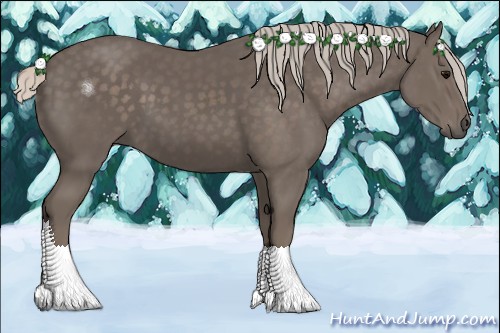 Horse Color:Silver Black 