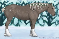 Horse Color:Silver Black 