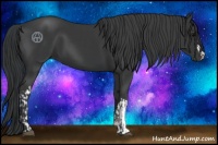 Horse Color:Black and Black