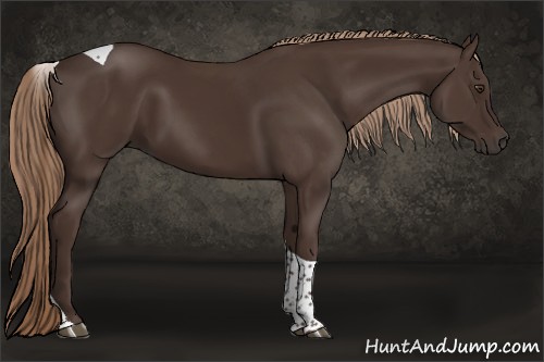 Horse Color:Liver Chestnut Tobiano 