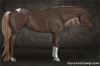 Horse Color:Liver Chestnut Tobiano 