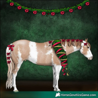 Horse Color:Black Pearl Sabino Rabicano
