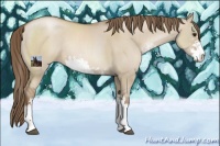 Horse Color:Grullo Pearl Sabino Rabicano 