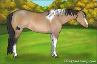 Horse Color:Brown Dun Sabino Tobiano Rabicano
