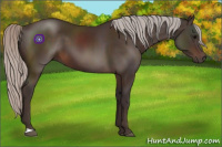 Horse Color:Silver Brown 