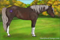 Horse Color:Silver Brown 