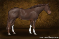 Horse Color:Liver Chestnut Tobiano