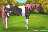 Horse Color:Painted White Spotted Midnight Red Dun Ice Tobiano 