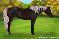 Horse Color:Midnight Silver Brown 