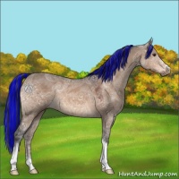 Horse Color:Painted Brown Ice Dun 