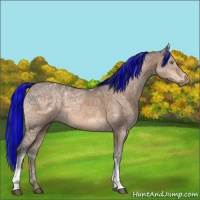 Horse Color:Painted Brown Ice Dun 