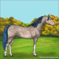 Horse Color:Painted Brown Ice Dun 