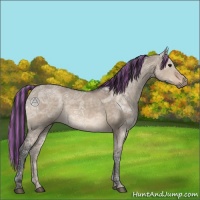 Horse Color:Painted Brown Ice Dun 