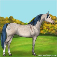 Horse Color:Painted Brown Ice Dun 