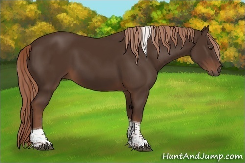 Horse Color:Liver Chestnut Tobiano 
