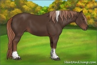 Horse Color:Liver Chestnut Tobiano 