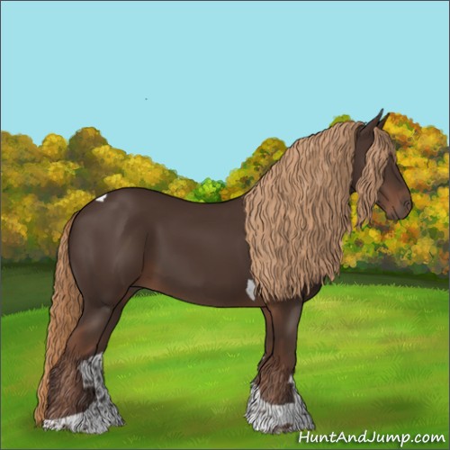 Horse Color:Liver Chestnut Tobiano