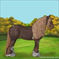 Horse Color:Liver Chestnut Tobiano
