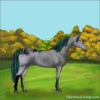 Horse Color:ERROR: UNKNOWN ANOMALY