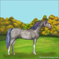 Horse Color:Painted Silver Black Ice 