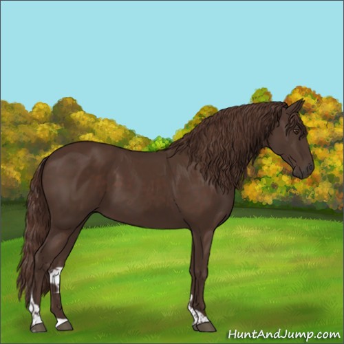Horse Color:Liver Chestnut Tobiano 