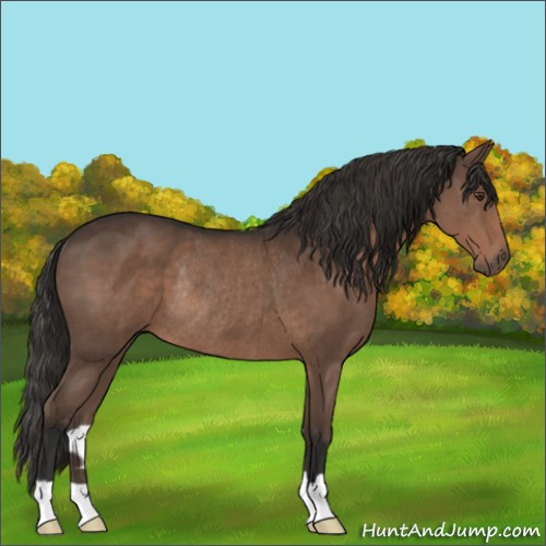 Horse Color:Liver Chestnut Rabicano 