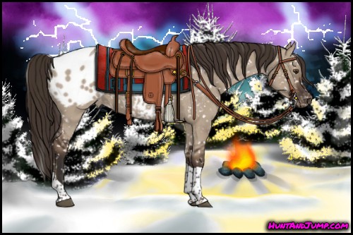 Horse Color:Liver Red Dun Splash Tobiano Appaloosa 