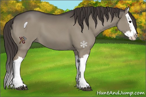 Horse Color:Smoky Grullo Splash 