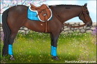 Horse Color:Bay Tobiano 