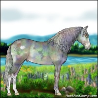 Horse Color:Nacre Silver Brown Chinchilla Ice Onyx 