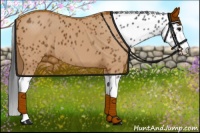 Horse Color:White Spotted Blue Roan Splash Frame Appaloosa 
